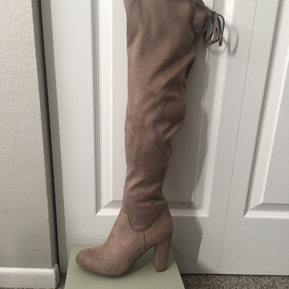 Kurt Geiger Caravela taupe suede thigh high boots.